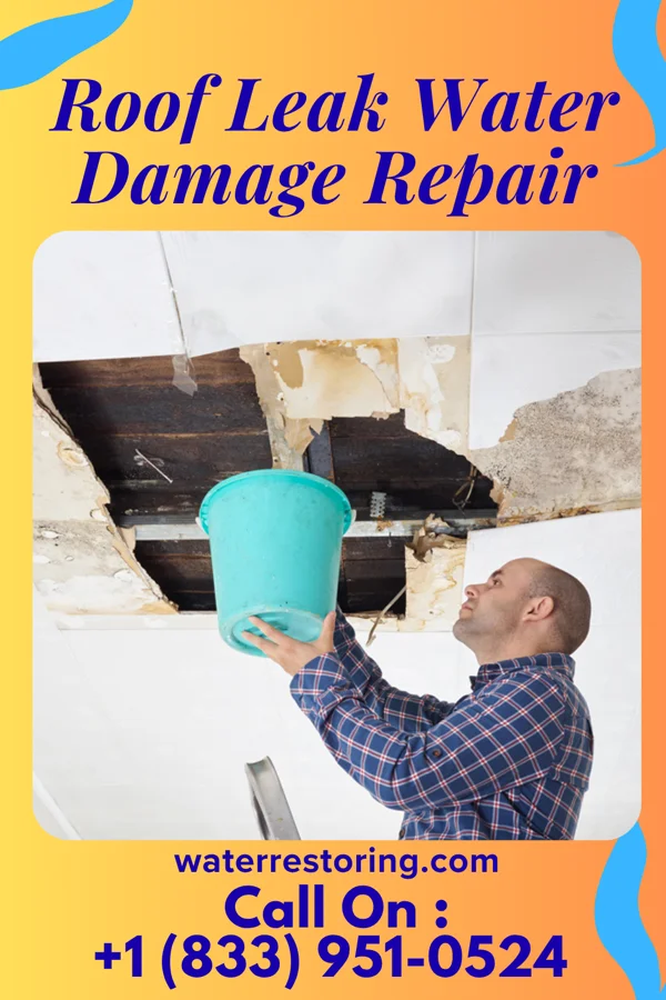 Roof Leak Water Damage Repair in Fordville, ND