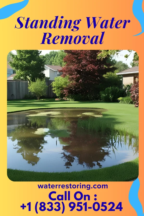 Standing Water Removal in Fordville, ND